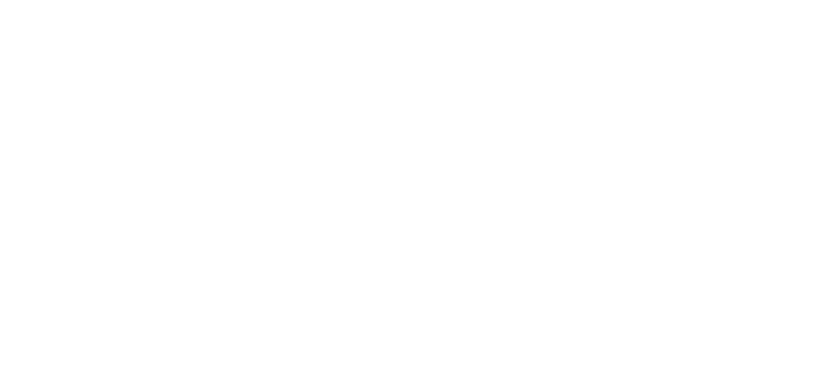 Nooky logo mark